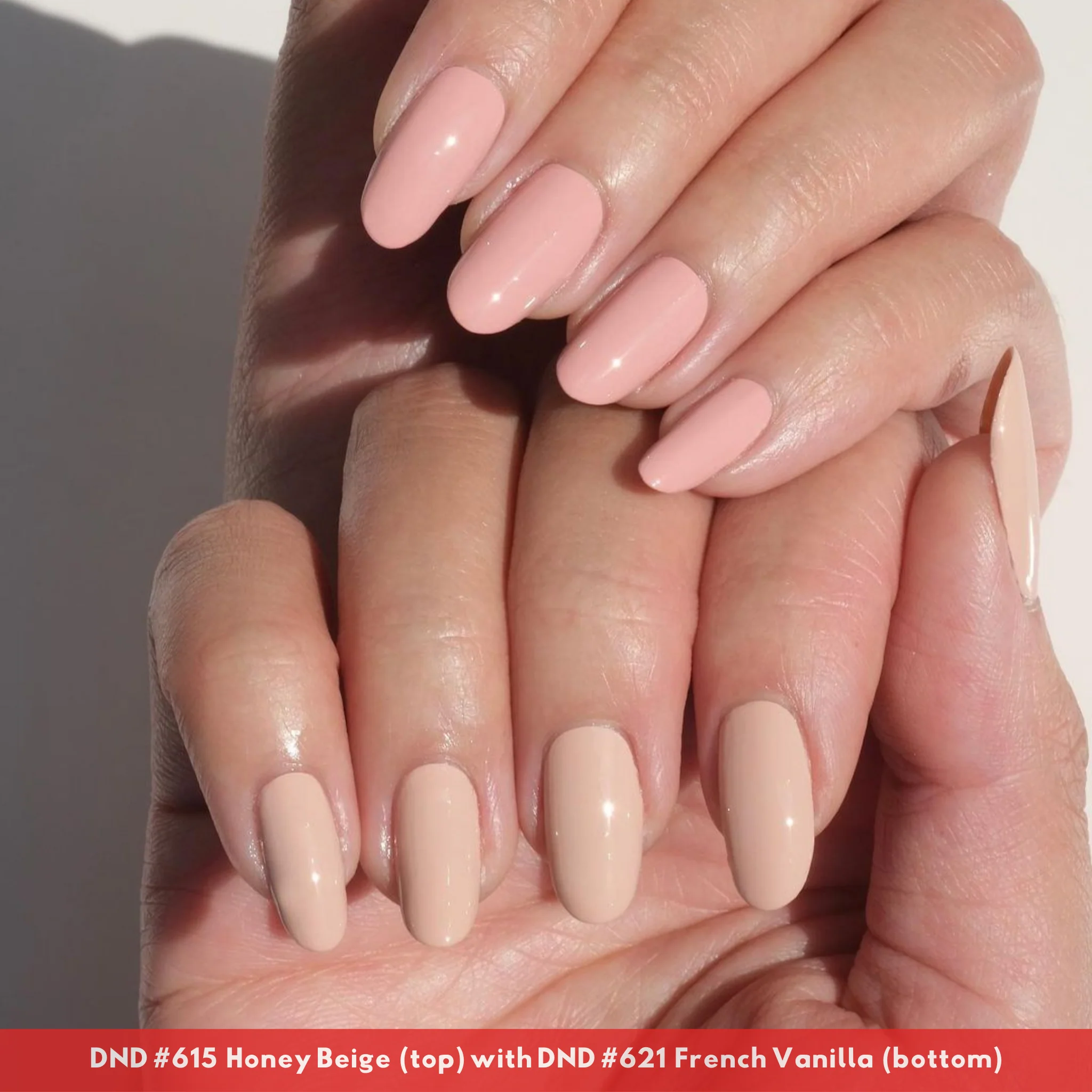 French Vanilla #621 - Image 5