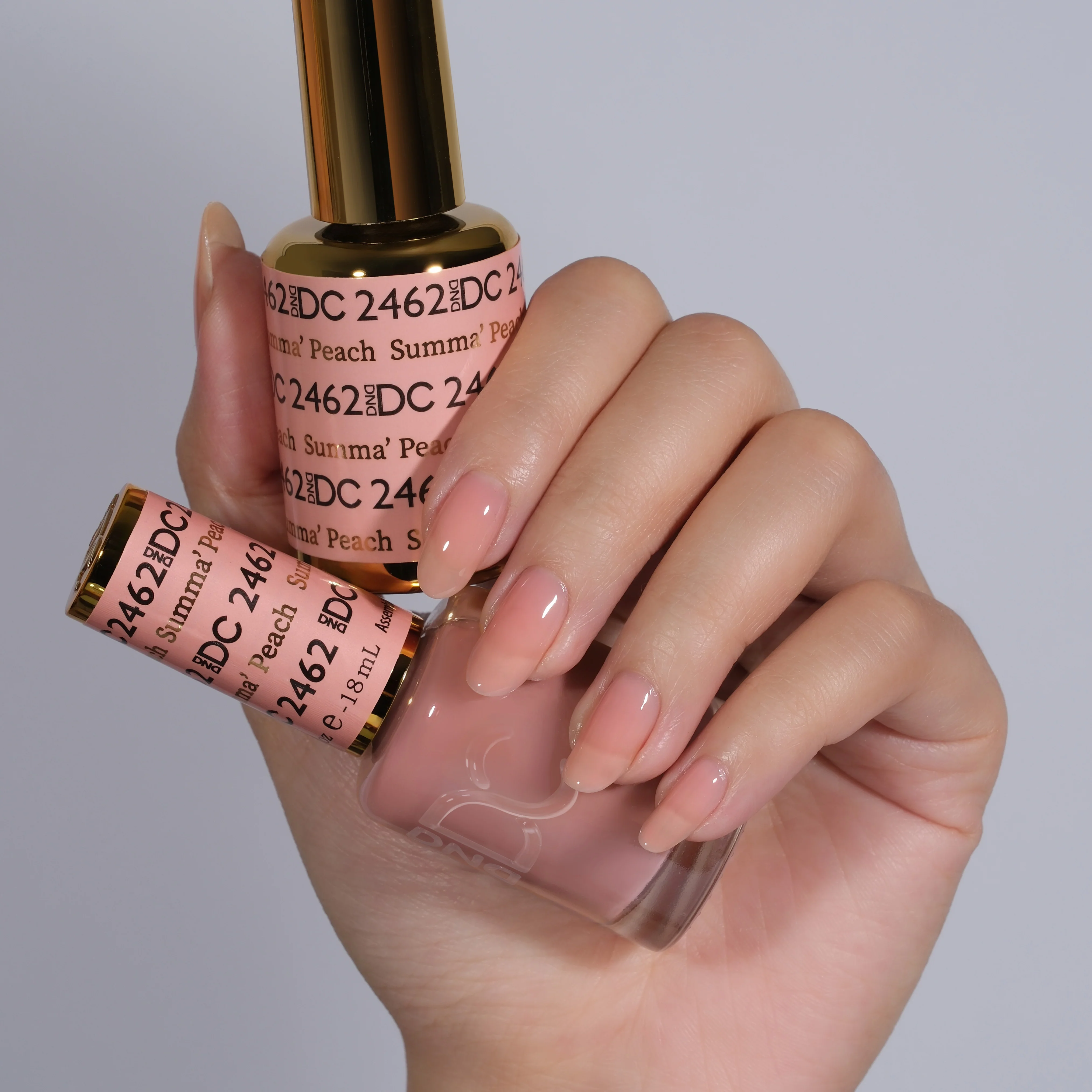 DC Sheer Collection Swatch — Single — 13 - Image 8