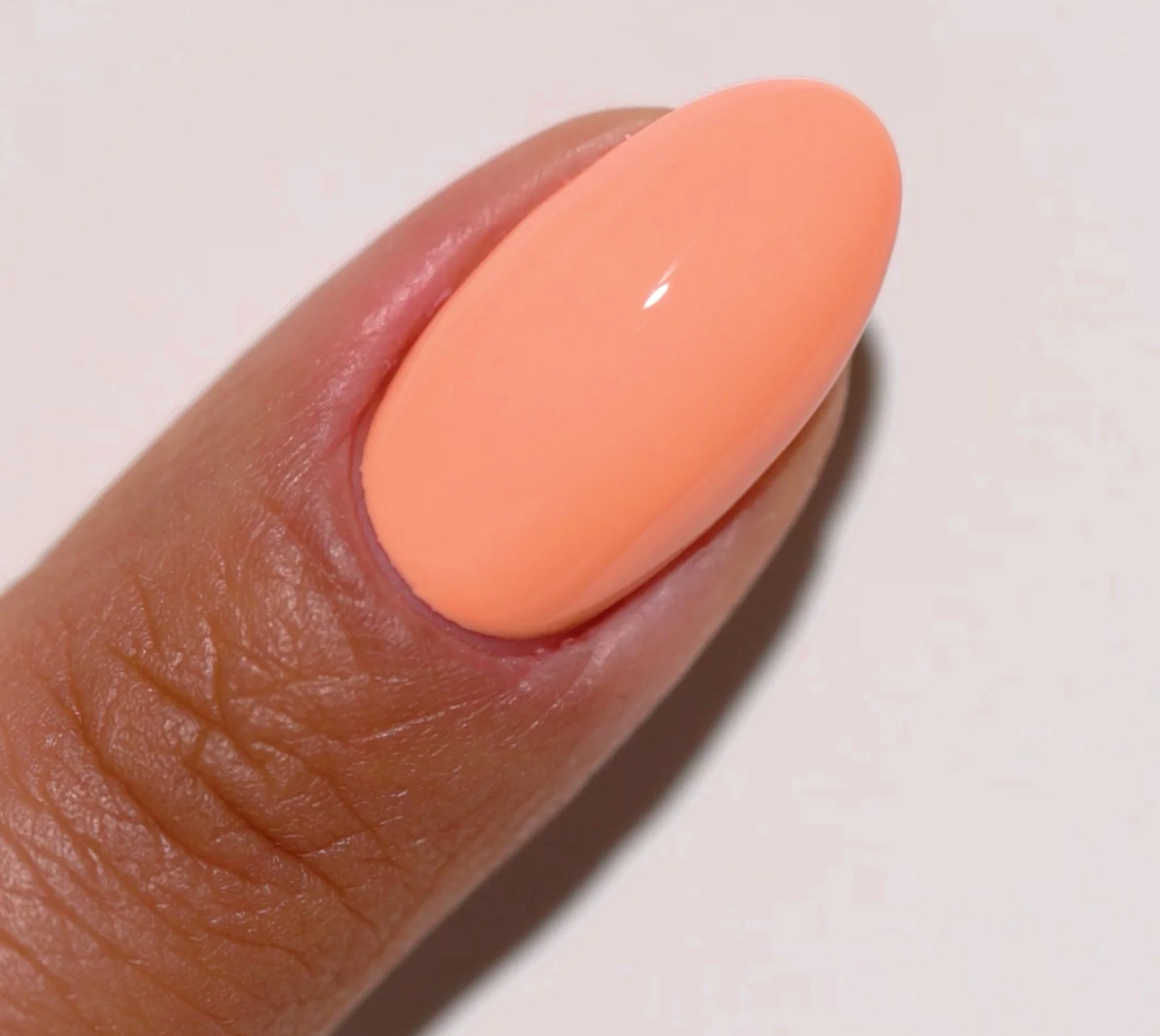 Peach Mimosa DIVA #186 - Image 2