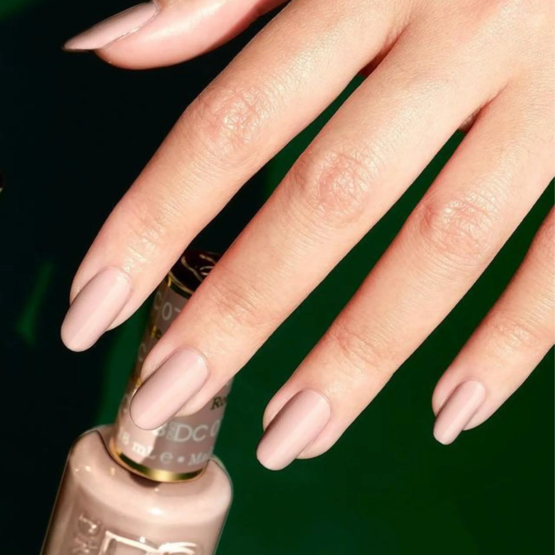 Rose Powder #087 - Image 2