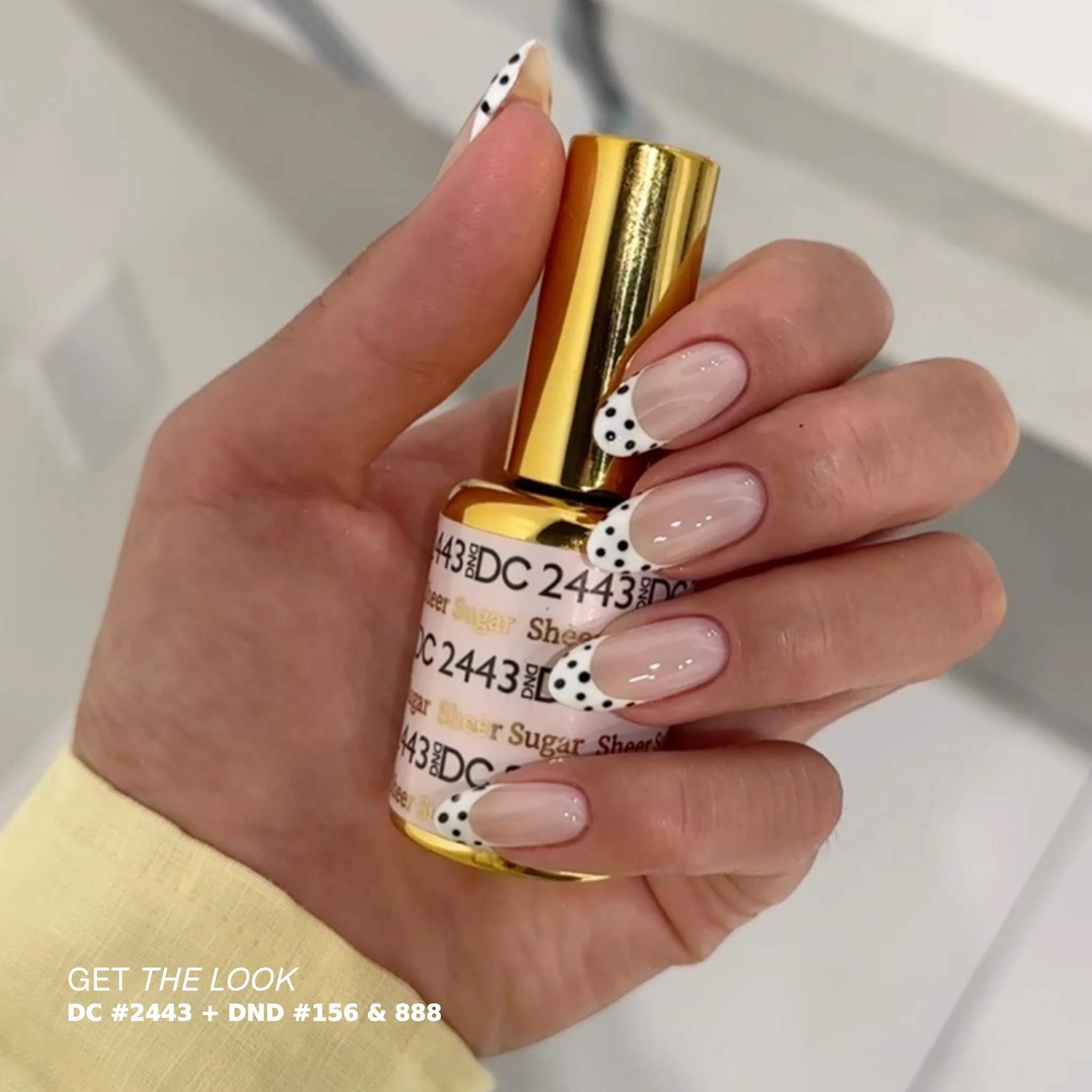 Sheer Sugar #2443 - Image 6