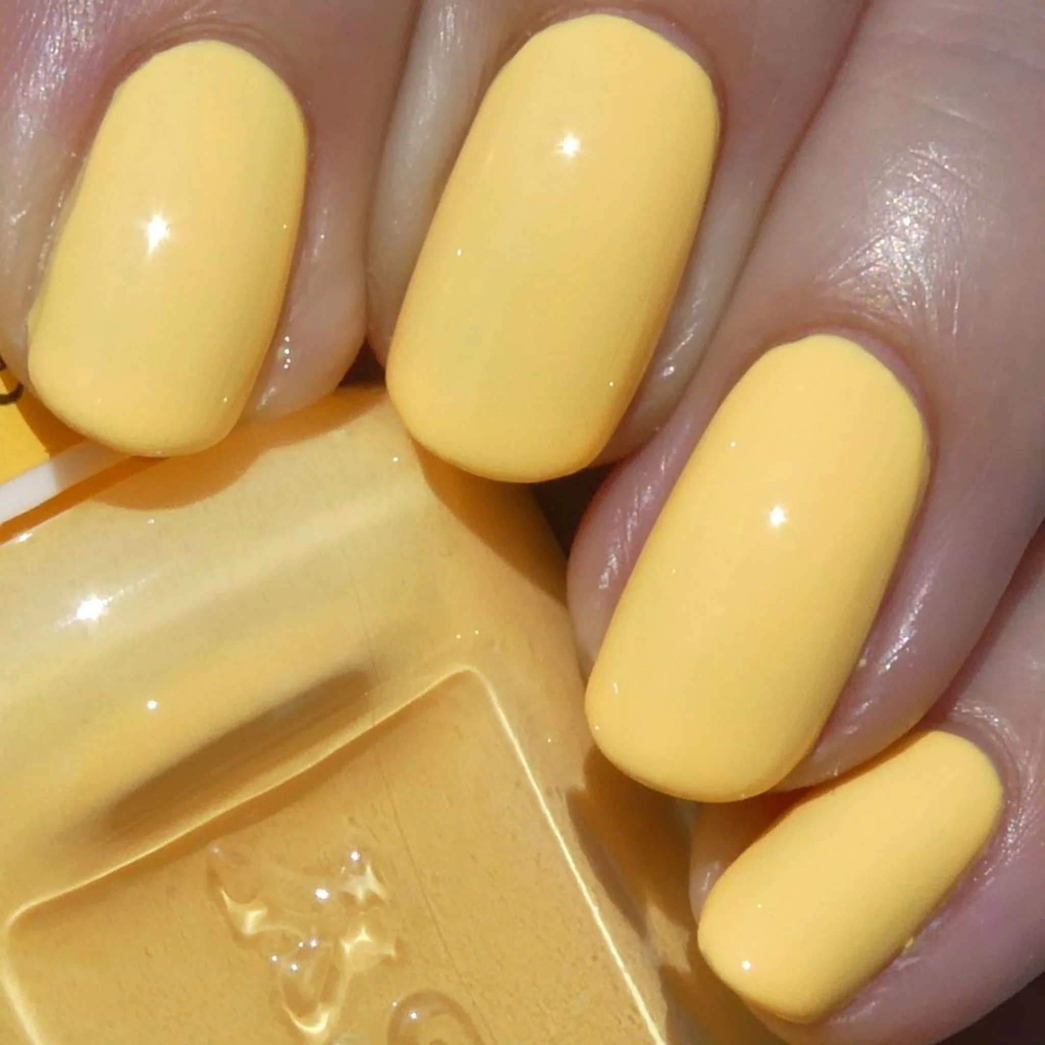 Honey #745 - Image 7