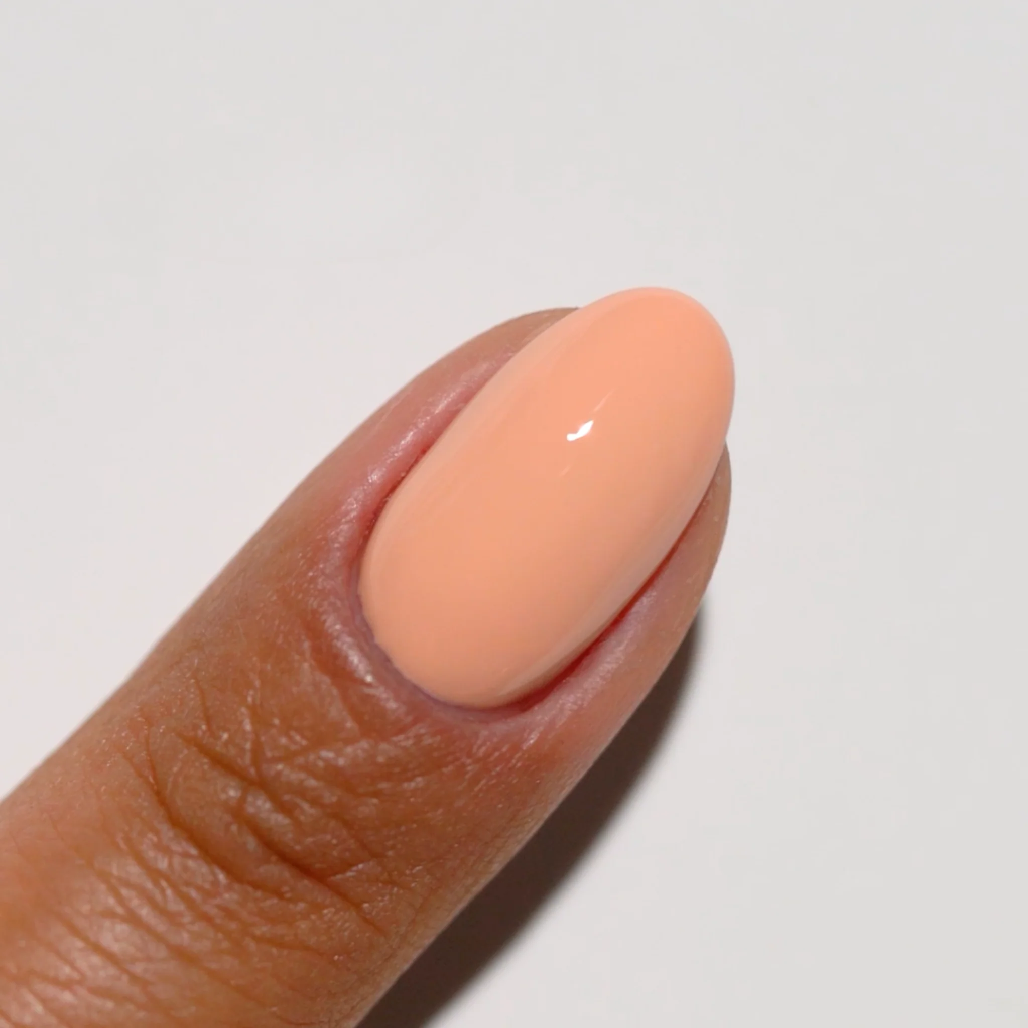 Toasted Apricot DIVA # 071 - Image 3